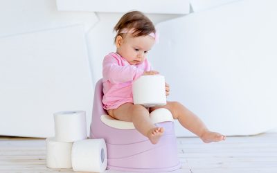 The Toilet Triumph: Mastering the Potty Like a Pro